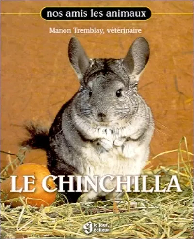 Chinchilla manon tremblay - chinchilla,,