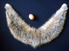 Col en fourrure de Veste /