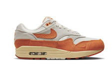 Nike Air Max 1 Wmns ( DZ4709