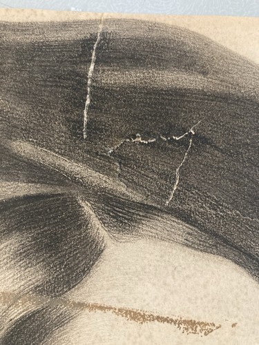 Très beau dessin - très,
