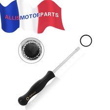 Tournevis d'outil de réglage