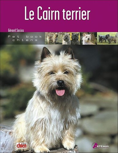Cairn terrier - cairn, (0)