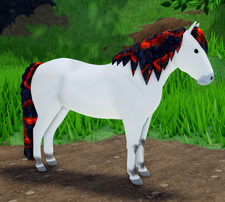 VOLCANIC ORANGE Ulsblakk Rare Coat Fjord IUH Wild Horse Islands WHI