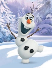 Disney La Reine Des Neiges