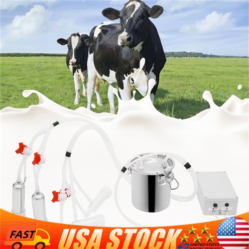 Pulsation cow milking machine - milking,