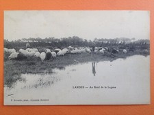 Old postcard photo BERNEDE in ARJUZANX MOORS STILTER SHEPHERD SHEEP on the edge of the lagoon
