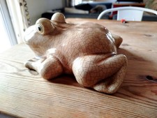 Crapaud Grenouille en