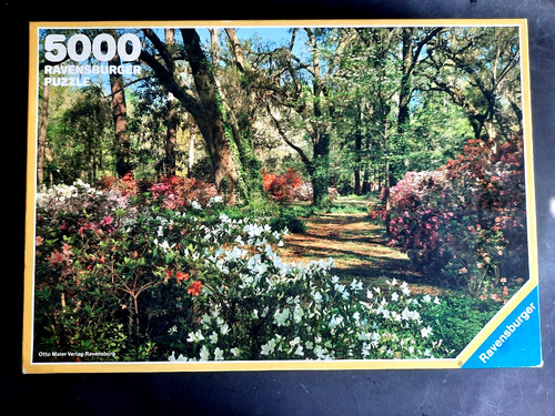 Puzzle 5000 ravensburger - 5000, parc