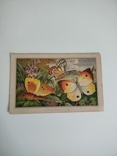 Cacao Van Houten Chromo