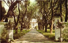 Longue Vue's Oak Avenue Gothic Arch New Orleans c1960 Vintage Postcard