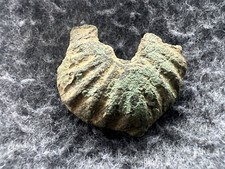 Medieval - Post Medieval Dagger Chape Partifact. c1450. (a17)