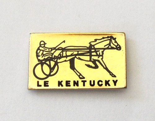 Pin kentucky état usa - pin's,
