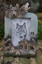 MO0249 SUPERBE   CADRE LOUP