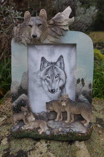 Mo0249 superbe cadre loup - superbe,