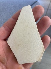 3,3 "/ 8,5 cm Huge Aepyornis