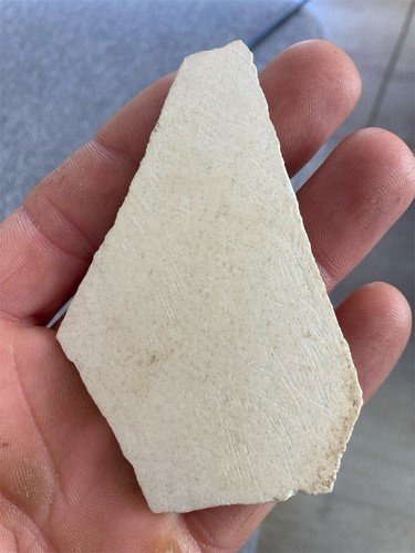 8 5 cm huge aepyornis - 3,3,