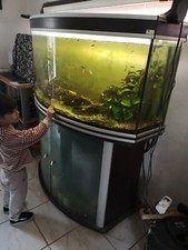 Aquarium sur meuble 180 l