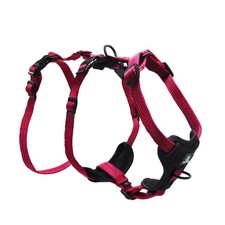 Paworld Harnais anti-traction