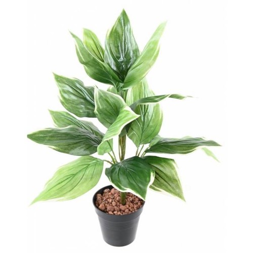 Hosta artificiel piquet - piquet, h60