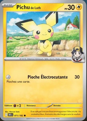 Pichu luth 182 - 71/182,