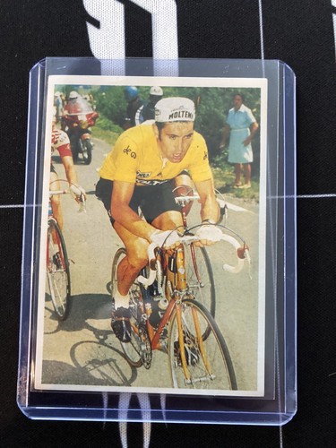 Eddy merckx poulain 1985 - eddy, #6
