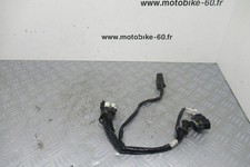 Faisceau electrique Yamaha YZF