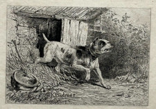 CHIEN Bull Terrier GRAVURE Eau