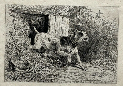 Chien bull terrier - bull, gravure