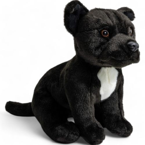Stafford bull terrier - stafford, noir