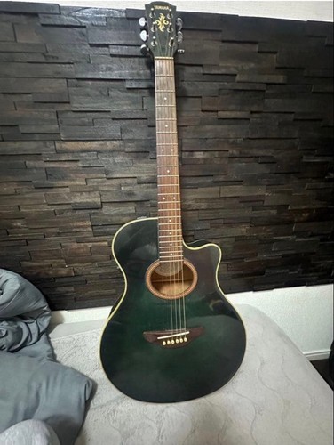 Guitare électrique acoustique