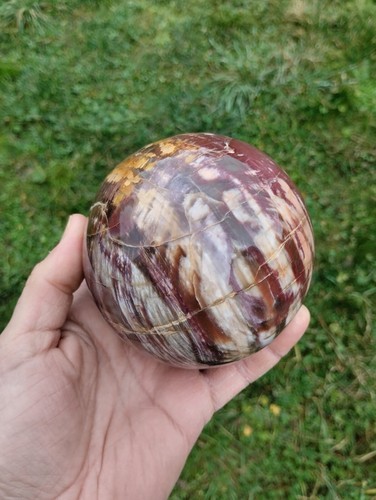 Bois fossile forme sphère - fossile,