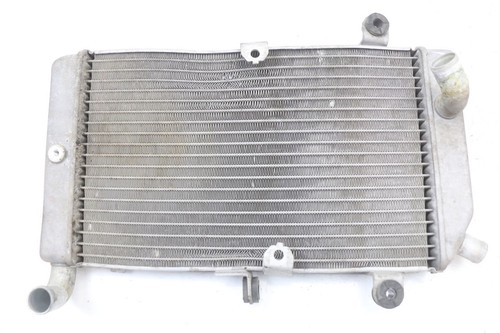 Radiateur honda fjs silver - radiateur,