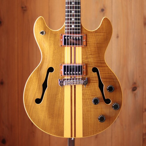 Aria pro guitare - pro, ii]