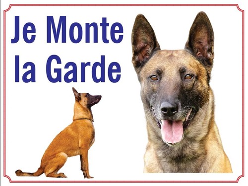 Attention chien je monte - chien,,