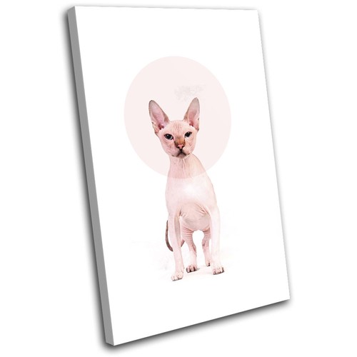 Sphynx cat bald modern circle - bald,