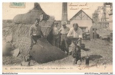 AYXP3-0288-49 - environs