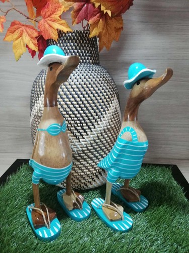 Couple canards de bali - ,