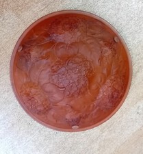 Art Decot Glass Pate Floral Basin Suspension Chandelier