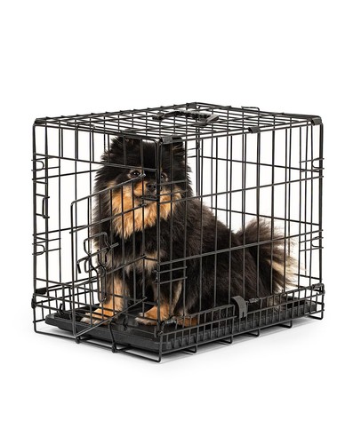 Cage transport pliable - de,