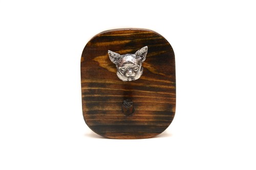 Chihuahua poil court - poil,