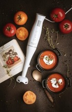 Mixeur plongeant à main