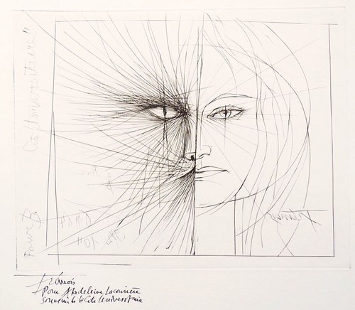 Belle bete gravure - belle, et