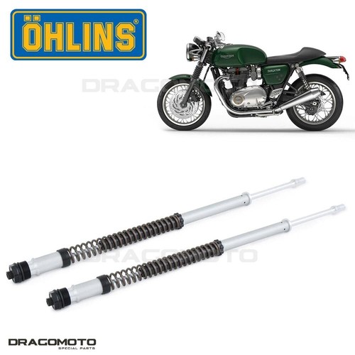 Triumph thruxton 1200 - thruxton,