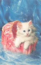 CP PETIT CAT DANS PRAM ROSE - 64677