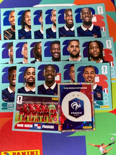 Choix france panini - choix,
