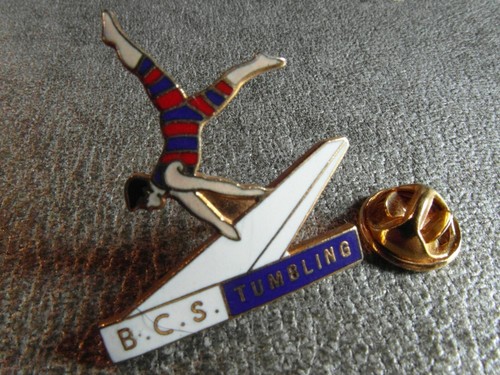 Rare pins pin - pin's,