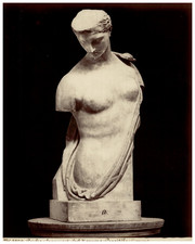 Pietro Poppi, Italia, Museo