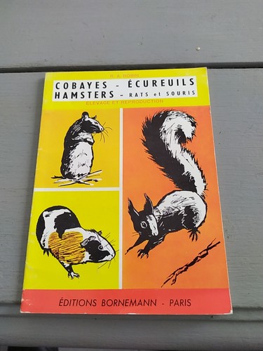 Cobayes écureuils hamsters - Écureuils,