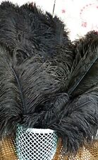LOT OF 5 ANTIQUE LARGE OSTRICH FEATHERS 19TH CENTURY - OLD HAT - MILLINER STOCK