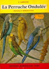 La perruche ondulée - R